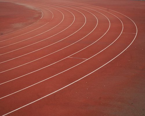 daily physical activity